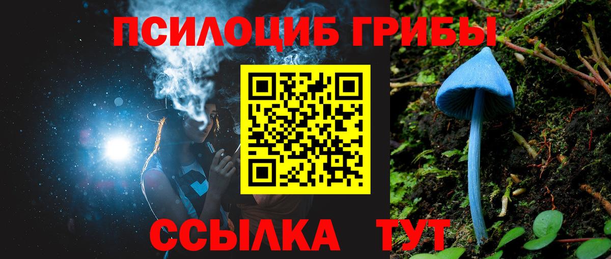 Псилоцибиновые грибы Psilocybine cubensis Тамбов