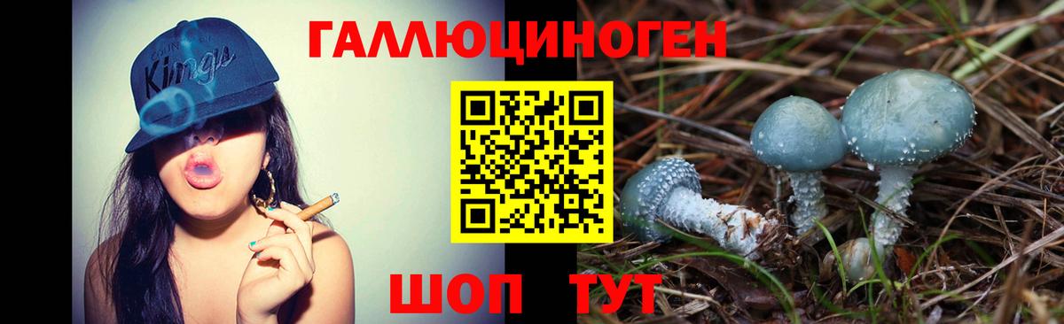 Тамбов  Галлюциногенные грибы мухоморы  Вход с VPN 